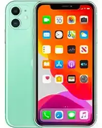 iPhone 11 (6.1)