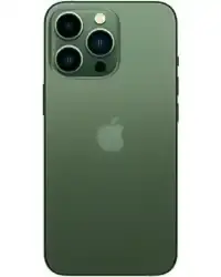 iPhone 13 Pro (6.1)
